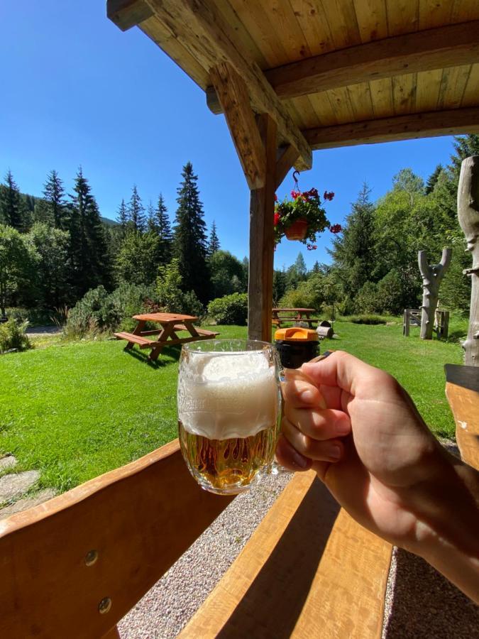 Pension Erban Špindlerŭv Mlýn Exteriér fotografie